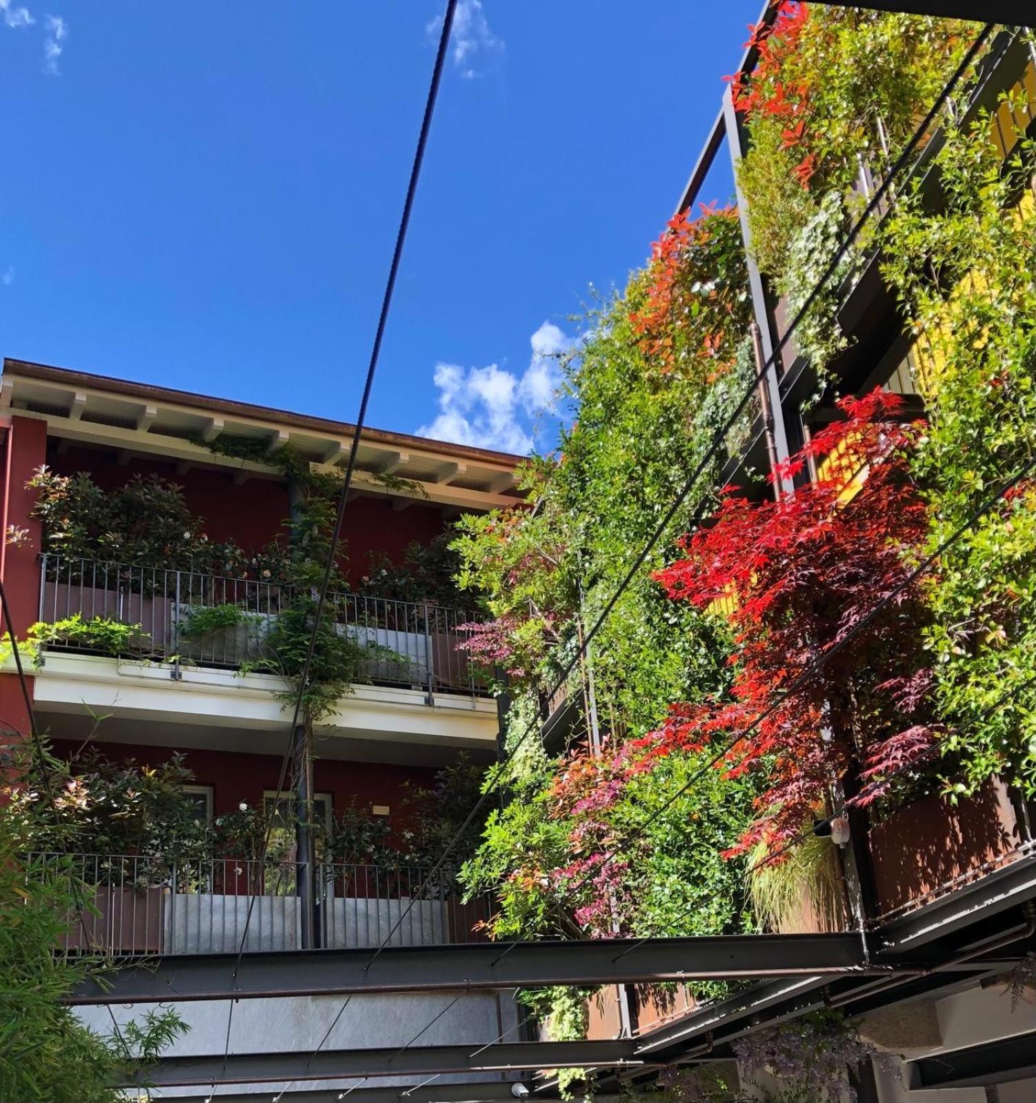 Residence Casa Coppa Appartamento Aster Omegna Ngoại thất bức ảnh