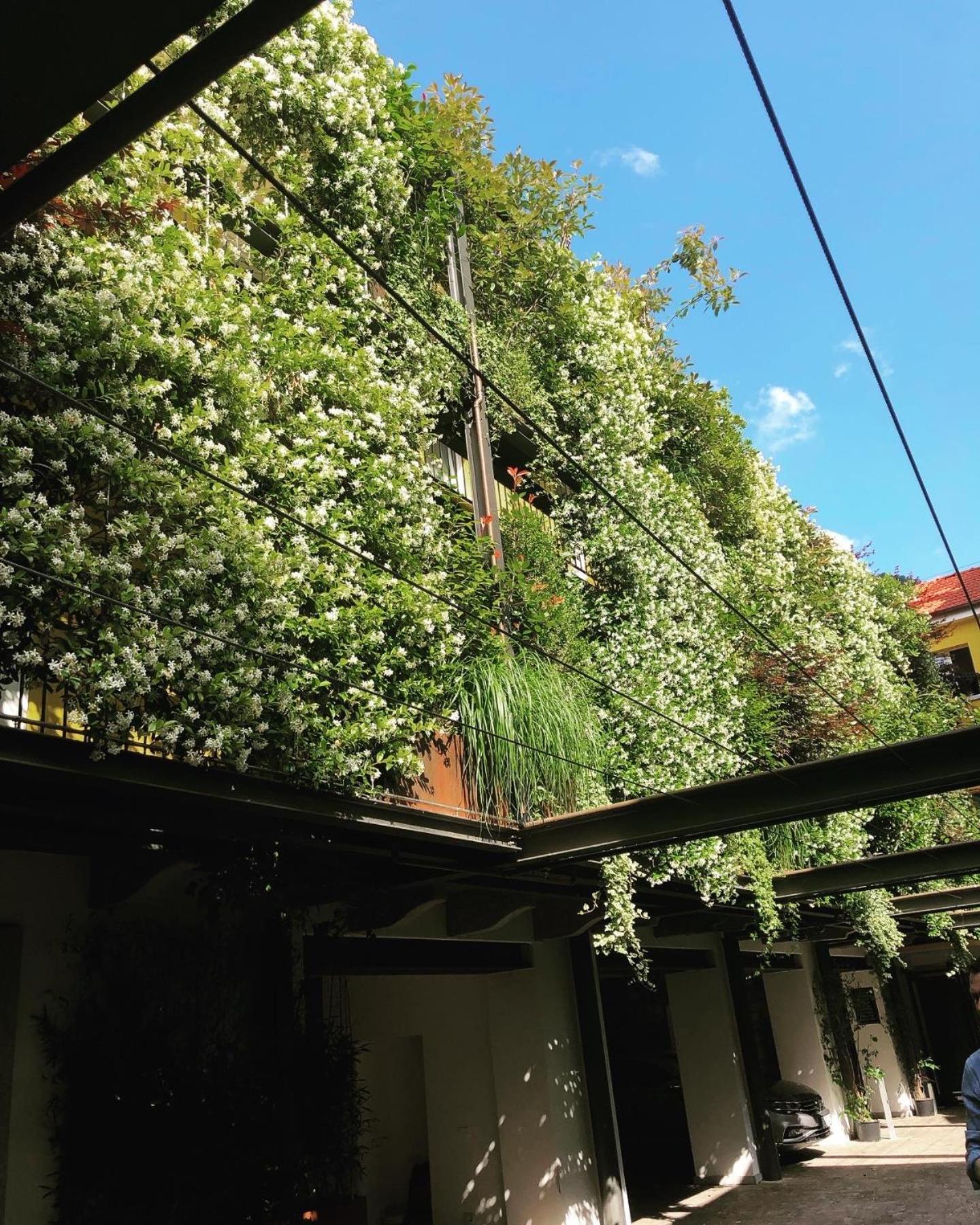 Residence Casa Coppa Appartamento Aster Omegna Ngoại thất bức ảnh